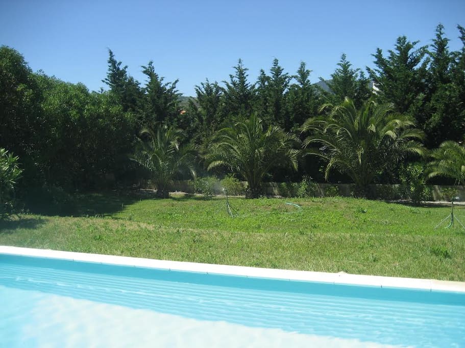 Jardim