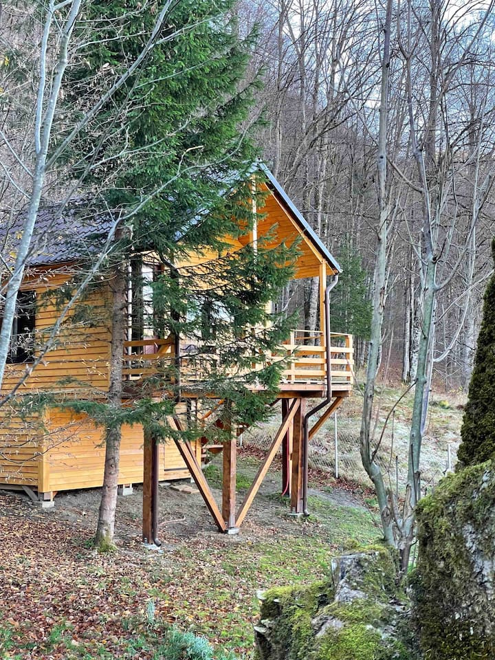 Poiana Mărului Vacation Rentals & Homes - Caraș-Severin County, Romania |  Airbnb
