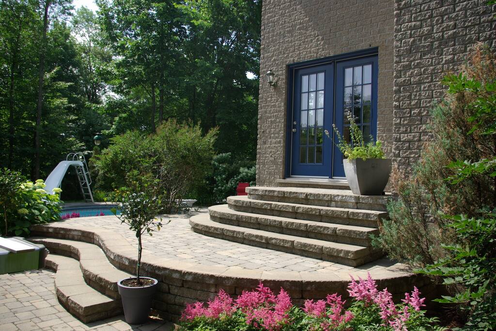 Backyard 2 / Cour arrière