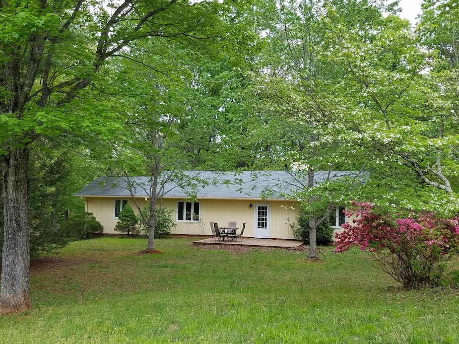 Backyard, patio, BBQ grill