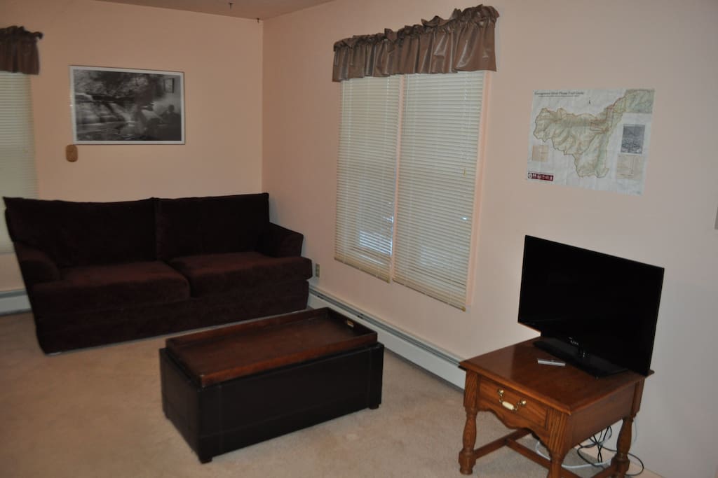 Living room with pullout couch