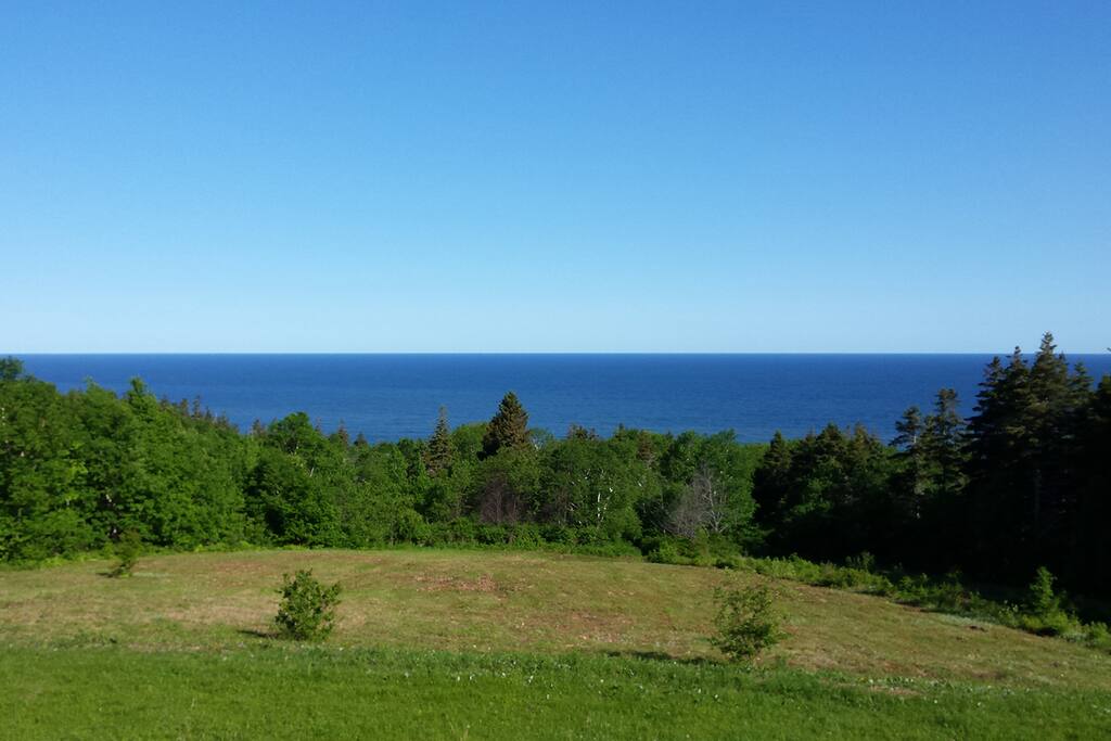 View from House