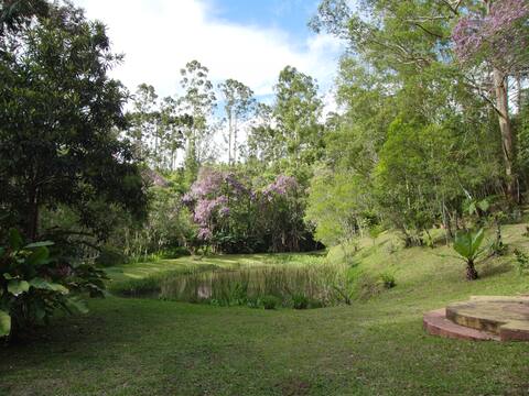 Condominium house inside Atlantic Forest