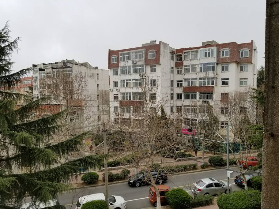 这是四楼窗户向外的风景