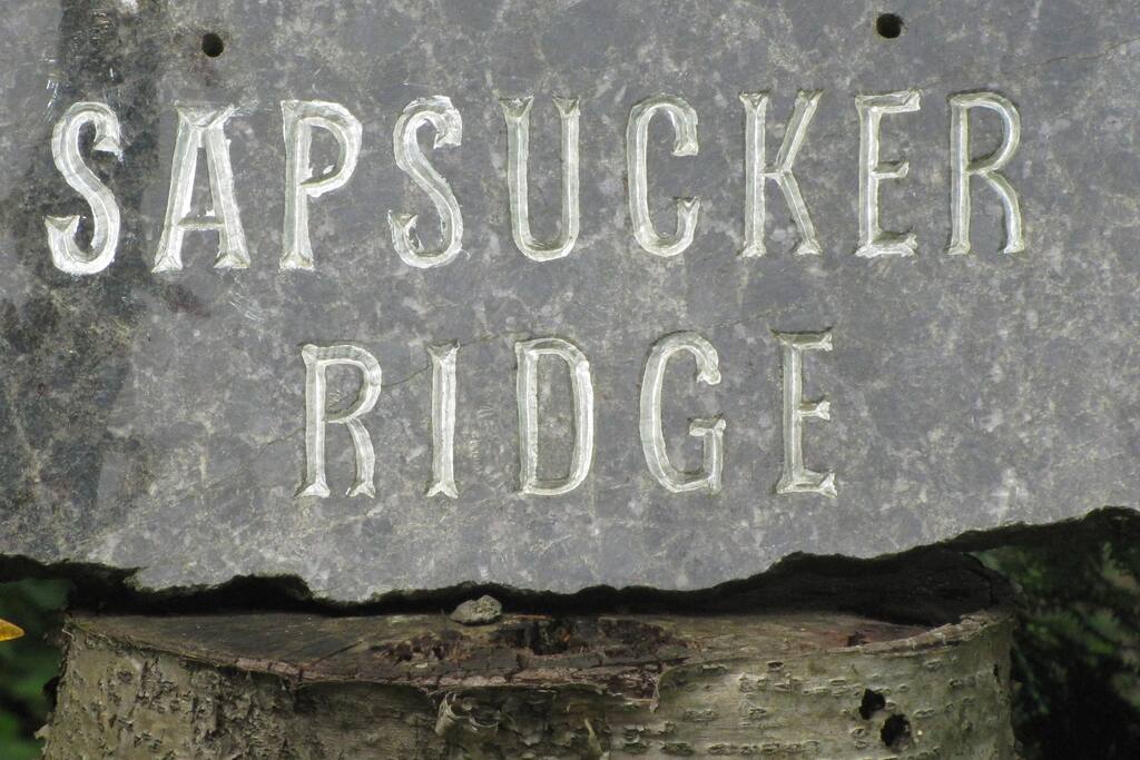 Sapsucker Ridge, a quiet, happy place.