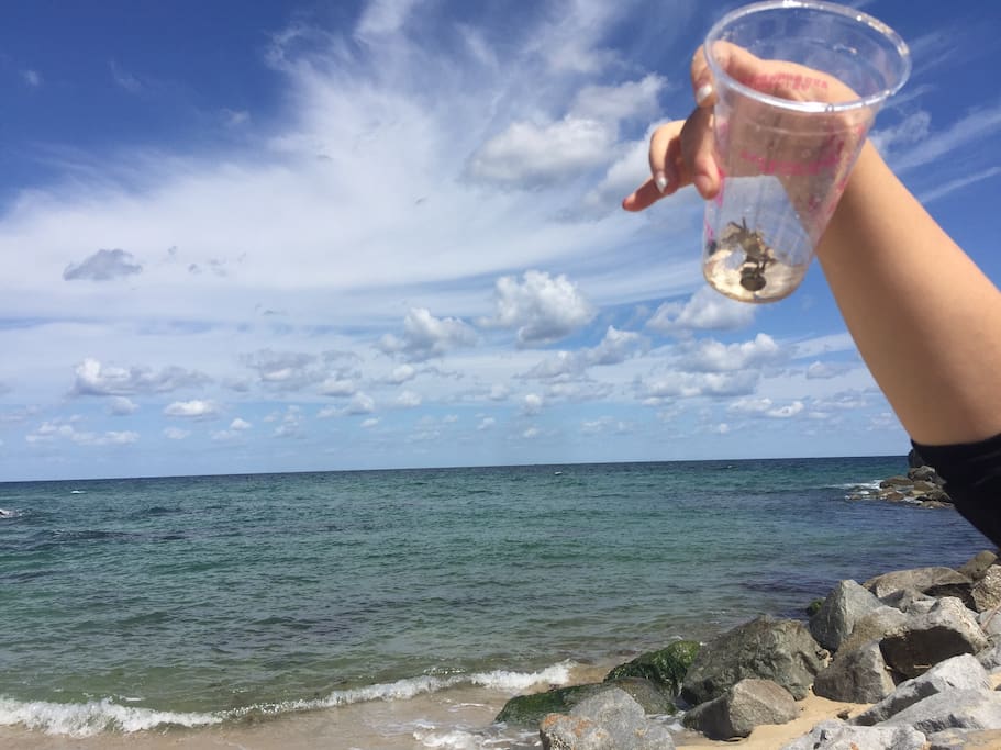 사천해변