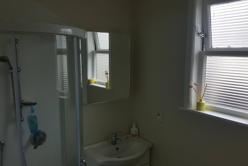 New Bathroom with spacious shower.