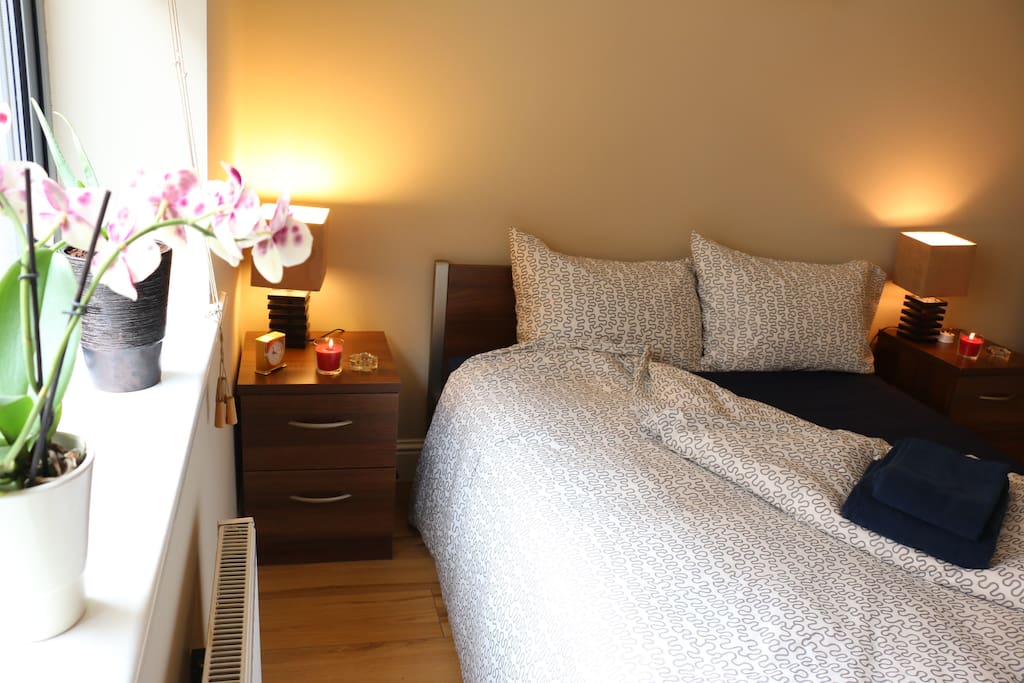 Find A Room To Rent In Dublin Find A Room To Rent In Dublin