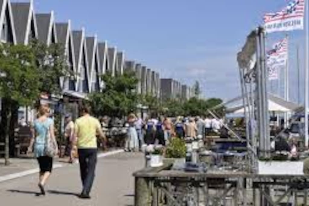 Restaurants and shops just across the road