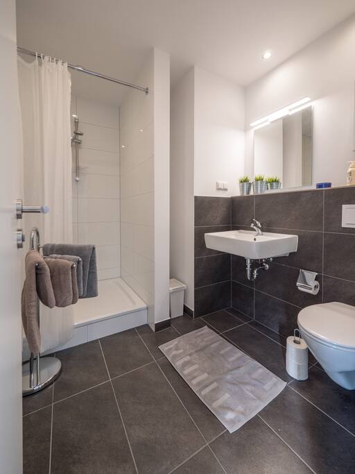 modernes Badezimmer mit großer Dusche