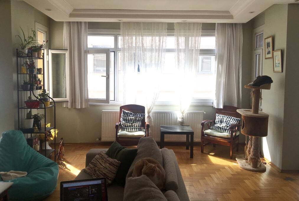 salon // living room 2