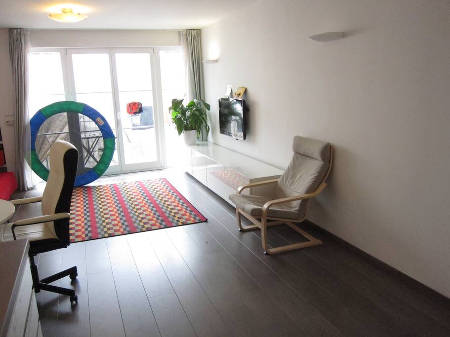 Modern deluxe bright penthouse apartment with elevator (sorry, mini-trampoline will be removed :))