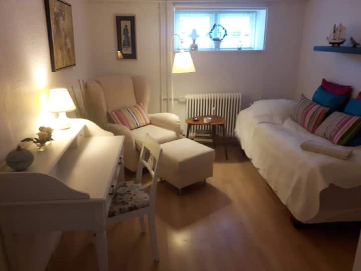 Удобна еднокреветна соба со кревет во лифт, биро, гардероба и прекрасен стол за читање 