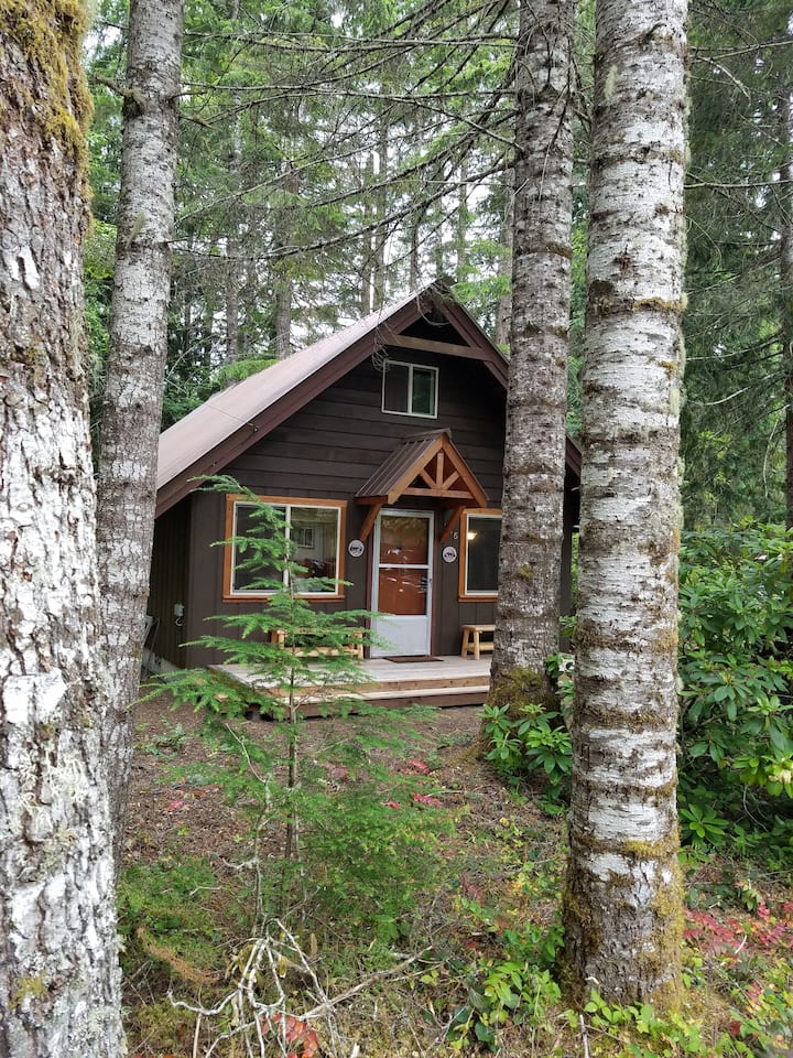 Elbe locations de vacances et logements Washington, ÉtatsUnis Airbnb