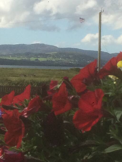 View from front door of golf course & beach.