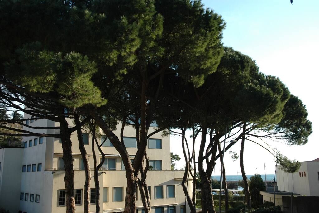 Vista dal terrazzo