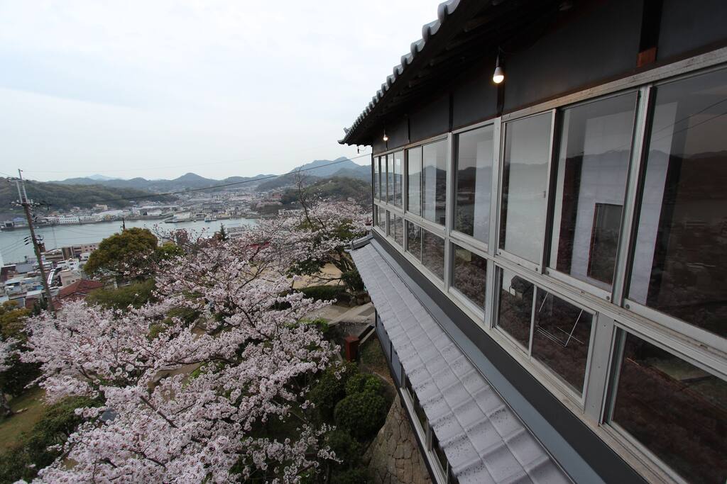 View from the room