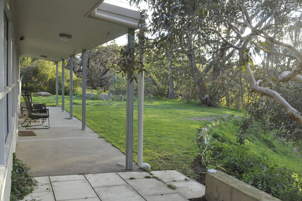 Front yard