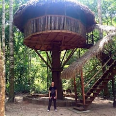 Treehouse+Refuge+in+the+Amazon+Jungle%21