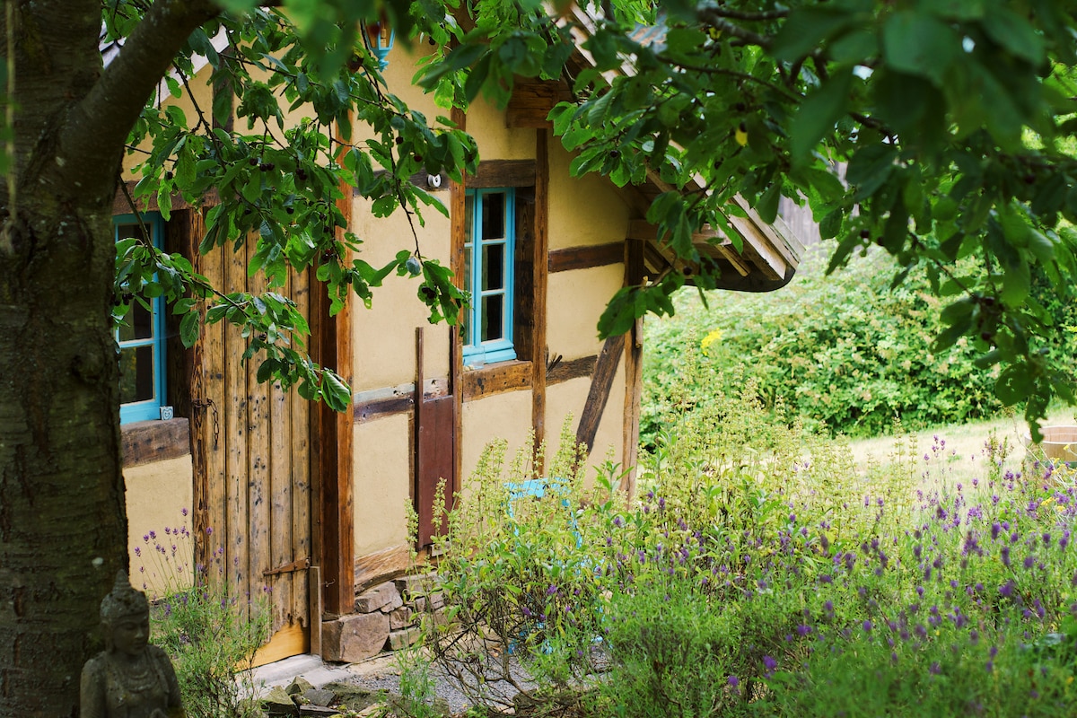 A charming exterior view of a house is presented, featuring natural wood and clay walls. The windows are painted in a soft blue hue, contrasting with the earthy materials. Lush greenery and flowering plants surround the house, enhancing the natural setting.