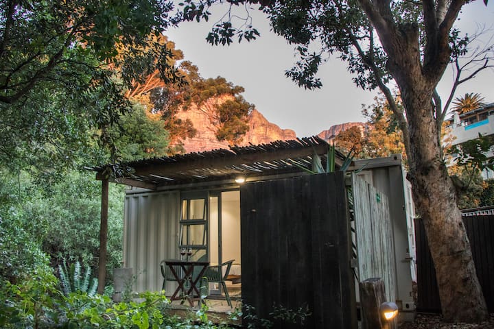 Forest Pod 1 for adventurers in Camps Bay
