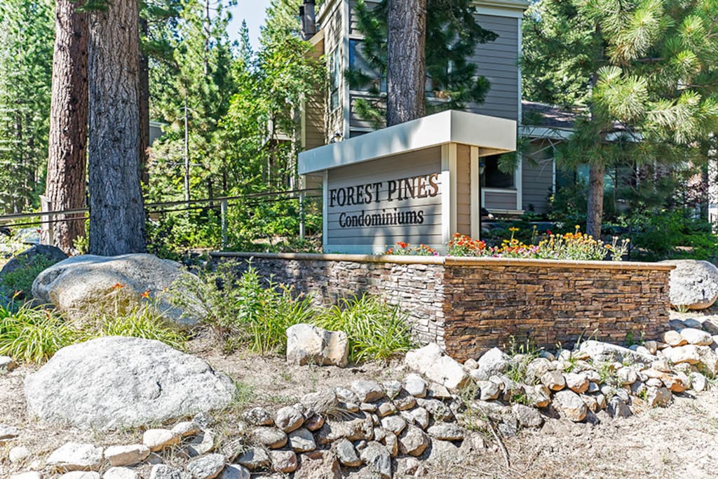 Forest Pines