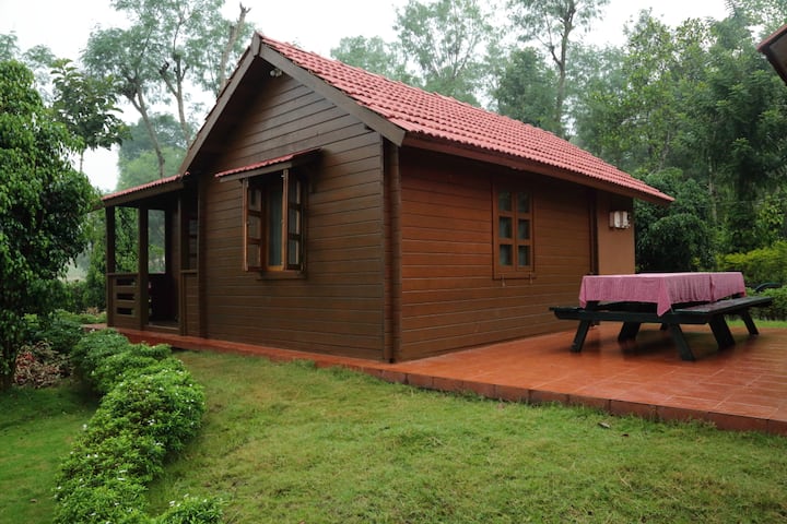George's Arabica, Hivehomes, Wayanad