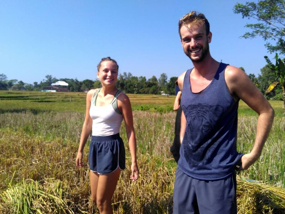 Harvest time...you can join us