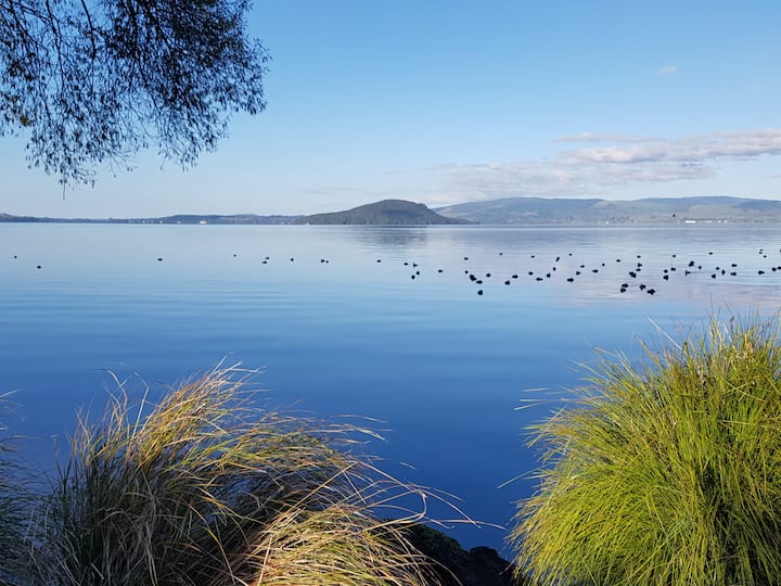 Rotorua Vacation Rentals Airbnb