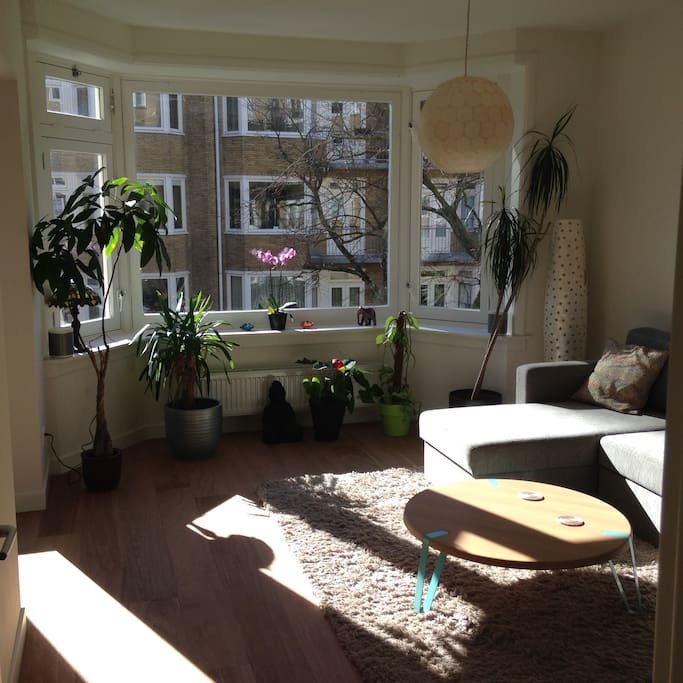 Living Room space, from the sofa you will see the park and canal