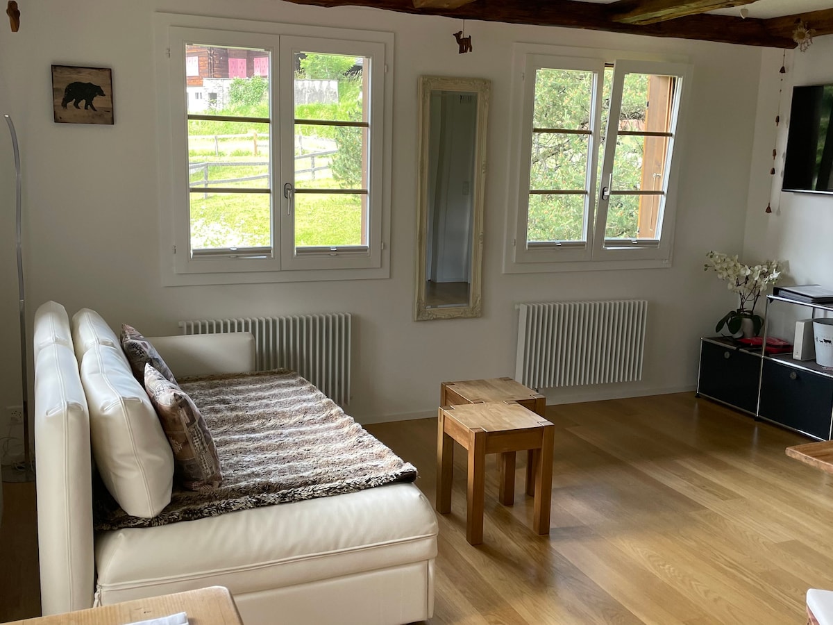 Successful Airbnb property: Apartment „Beauty“, Chalet Betunia, Grindelwald in Espace Mittelland