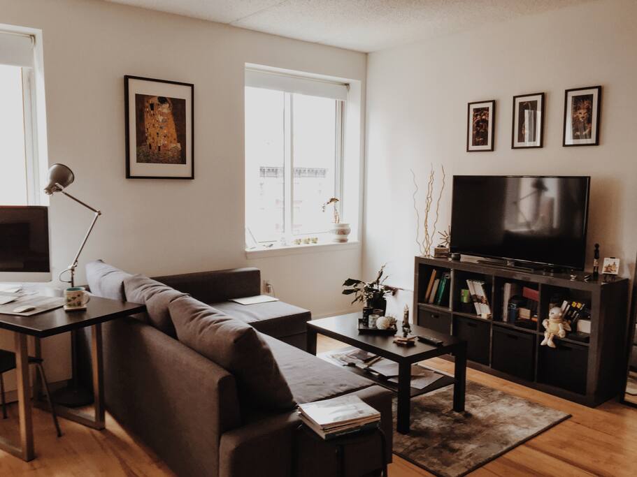 Spacious Modern Alcove Studio in a Luxury Building Apartments for