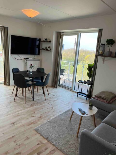 Entire new apartment in Copenhagen