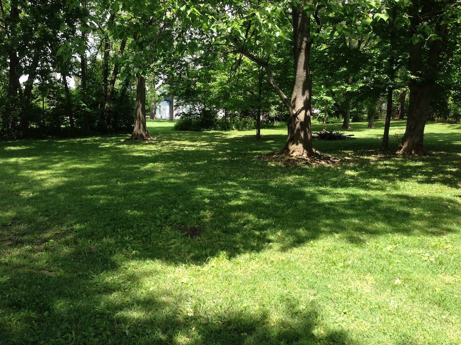 Wooded Area