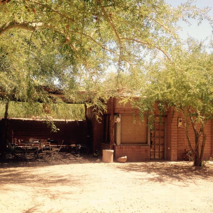 Lovely algarrobo´s shade