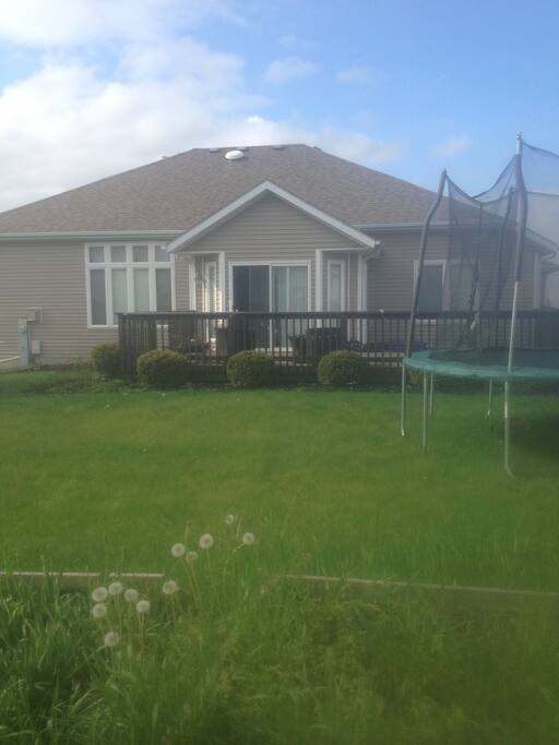 Backyard