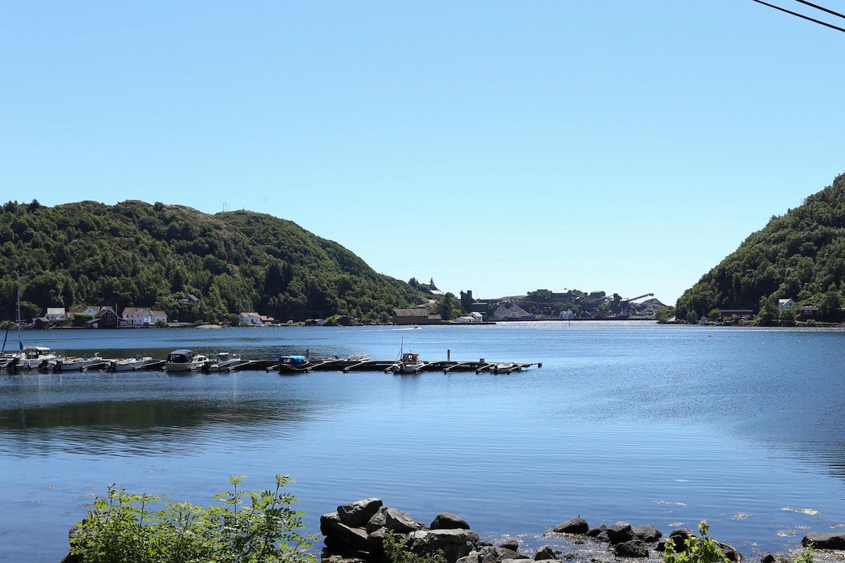 A serene view of a calm fjord is captured, with gently sloping green hills surrounding the water. Several small boats are moored along a wooden dock, reflecting the clear blue sky and still water. The scene evokes a sense of tranquility and closeness to nature.