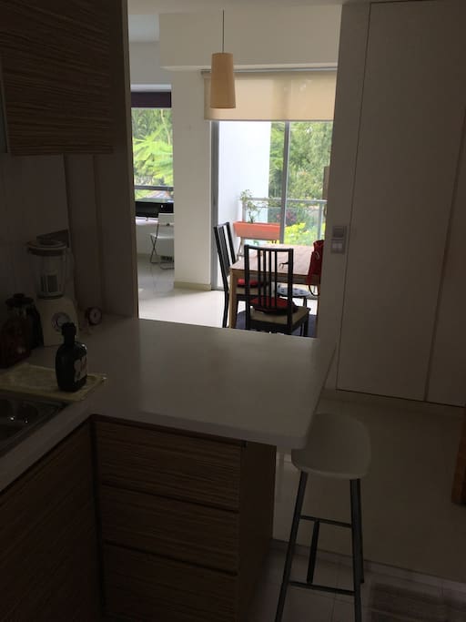 Choice of single dining & couple dining. On special occasions, balcony, dining, kitchen counter to kitchen area can be opened / combined into a bigger space for socialising.
