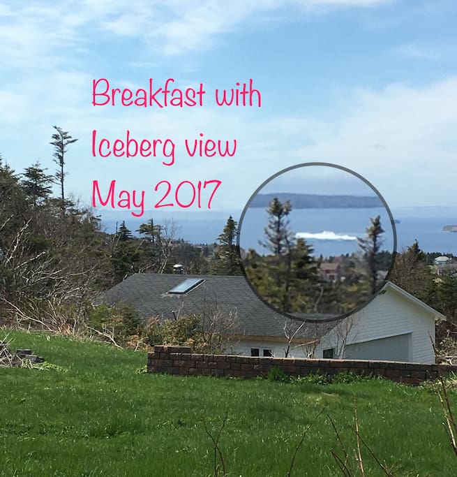 We may or may not enjoy seeing icebergs more than our guests!