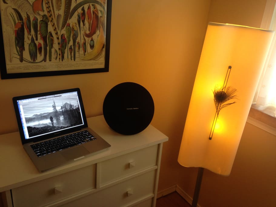 Enjoy Bluetooth or wired connection to your phone or laptop with a lovely sounding Harmon Kardon "Onyx Studio 3" plug in wall or use around the apartment on its battery for up to 4 or 5 hours.