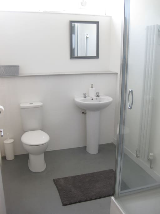 Shared Shower room