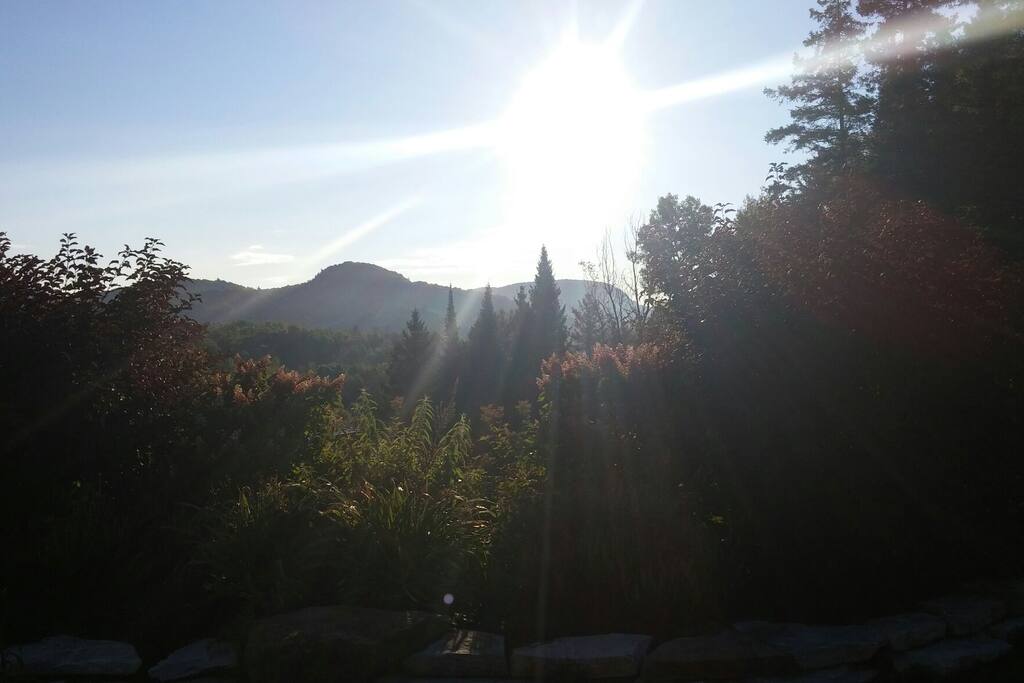Les matins!