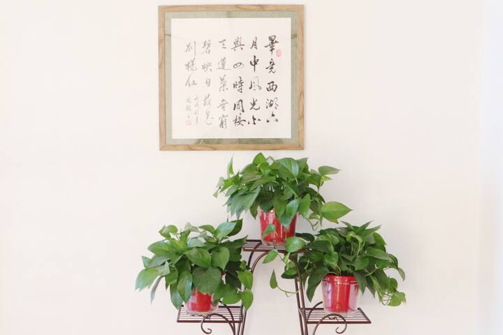 柚子 颐庭轩 近钟楼 回民街商圈 大雁塔 城墙 超大loft四室复式洋楼 Lofts For Rent In Xi An Shaanxi China