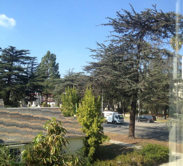 View from your bedroom window