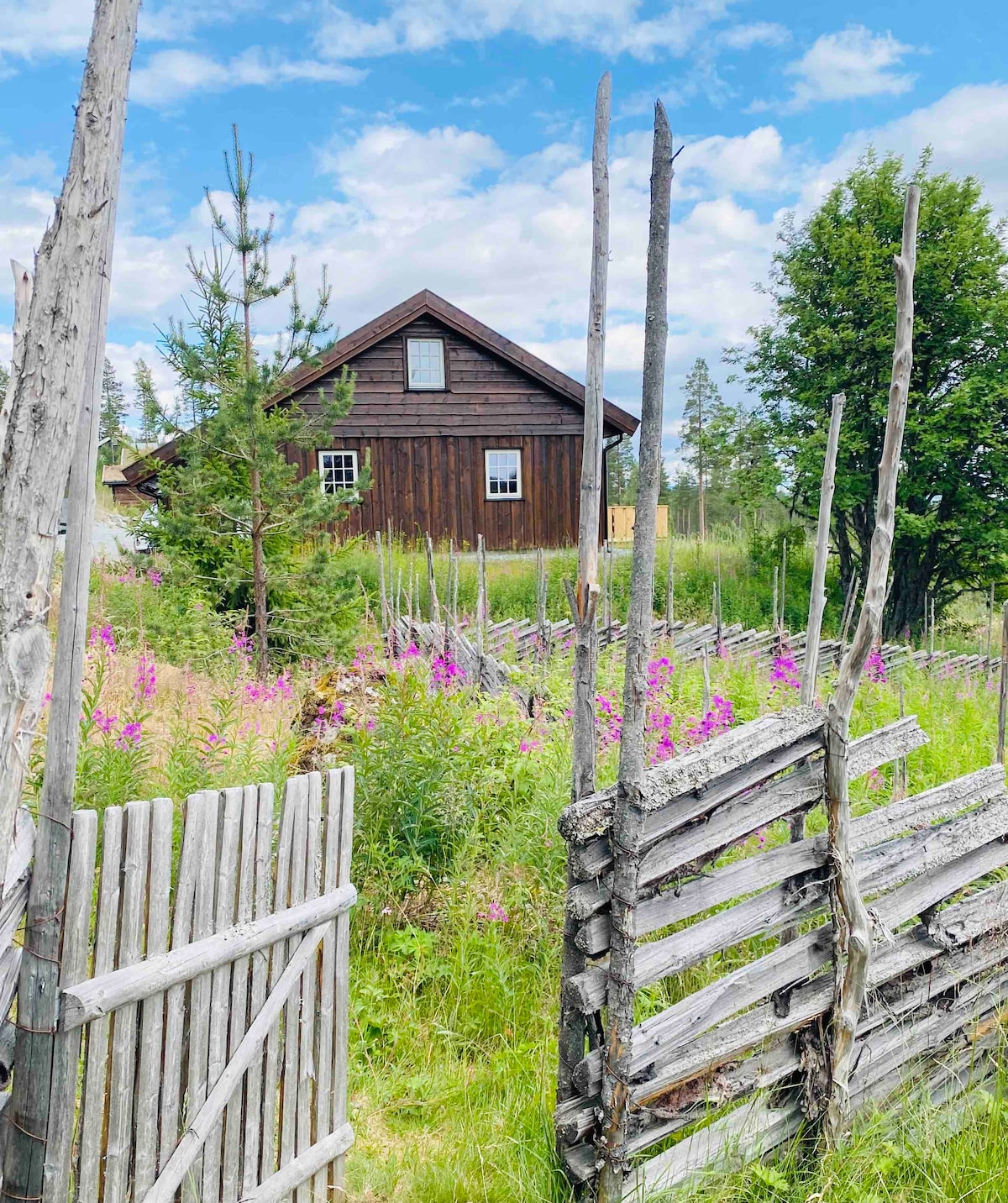 A rustic wooden cabin is visible in the background, framed by vibrant green trees and blooming wildflowers. A weathered wooden fence and gate lead into the lush natural surroundings, creating a welcoming entrance to the property.