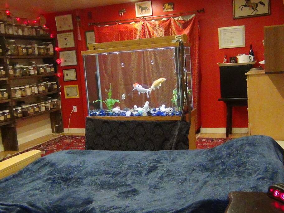 Futon Bed, mini refrigerator, and hot pot for making tea/coffee/soup