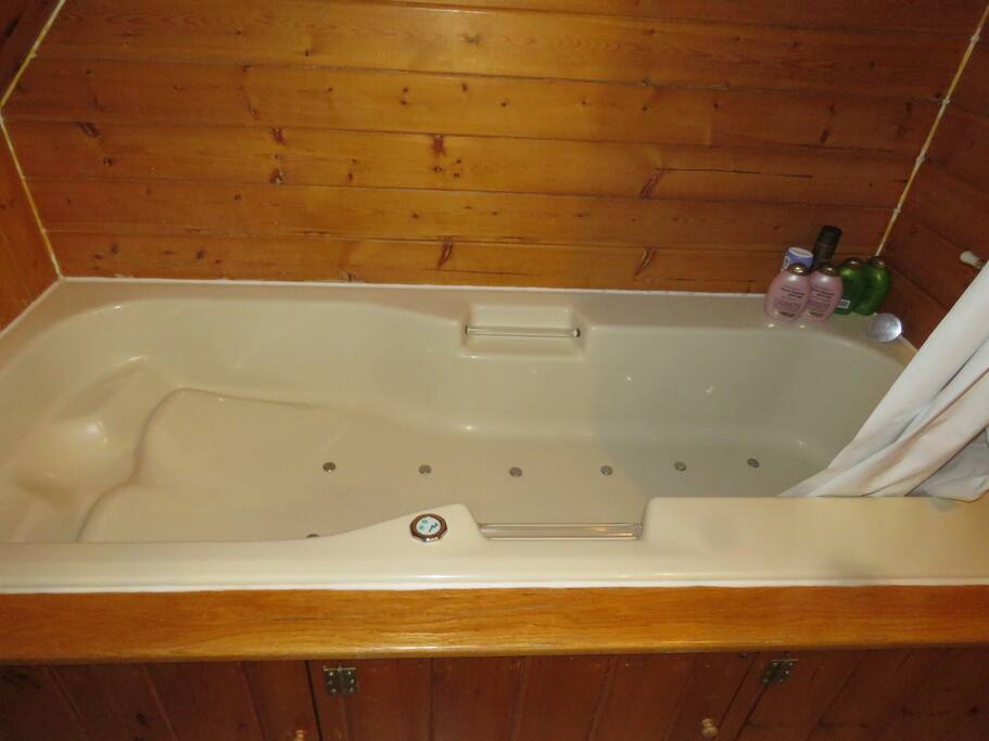 Jetted tub private bath in cozy Room