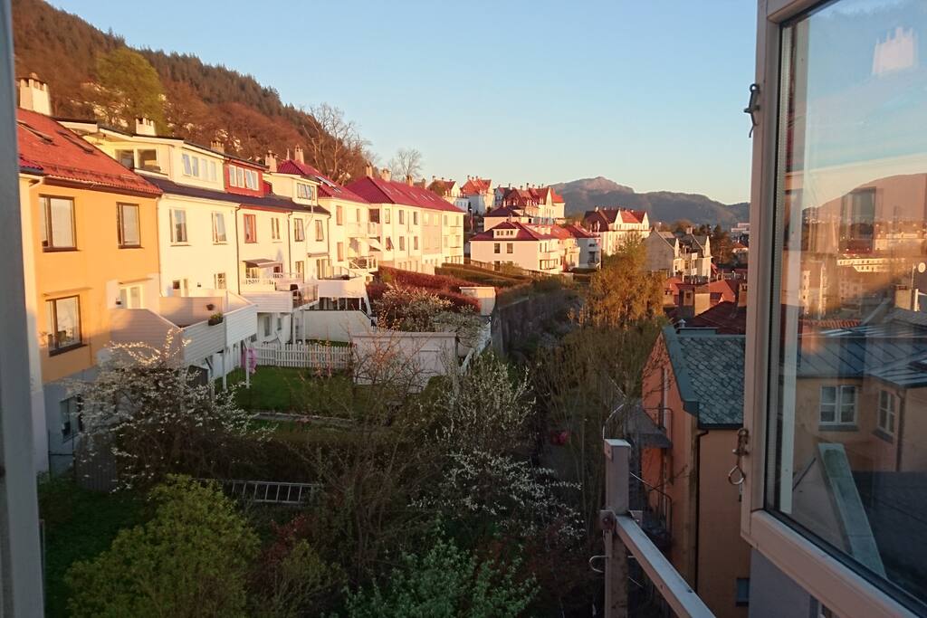 View from the kitchen