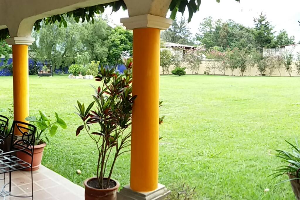 Beautiful yard and garden