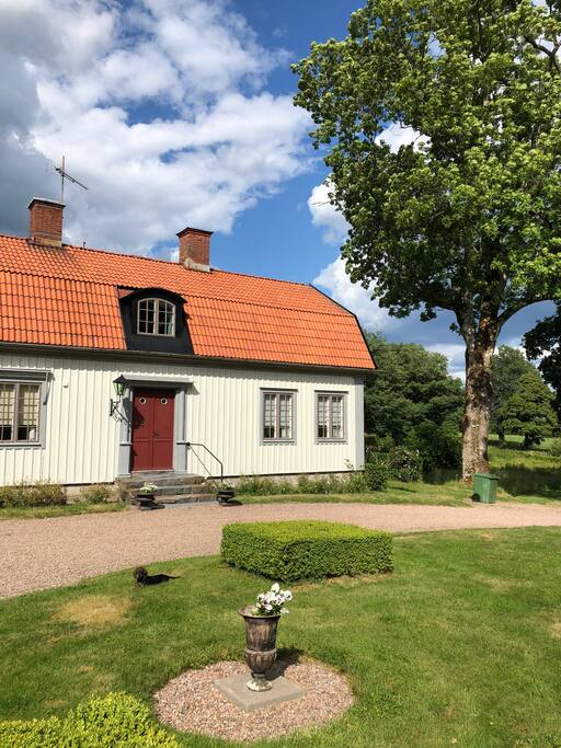 Vacker trädgård